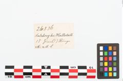 Etikett zu Zinnring (NHMW-PRAE-026836)